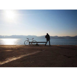 Fantastic Wool Plate fr-FR